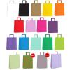 1812100 - BOLSA F 22X10X30 COLOR BOLSA F 22X10X30 COLOR